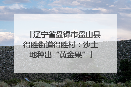 辽宁省盘锦市盘山县得胜街道得胜村：沙土地种出“黄金果”