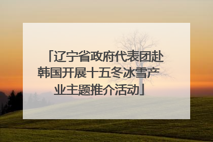辽宁省政府代表团赴韩国开展十五冬冰雪产业主题推介活动