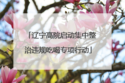 辽宁高院启动集中整治违规吃喝专项行动