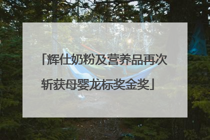 辉仕奶粉及营养品再次斩获母婴龙标奖金奖