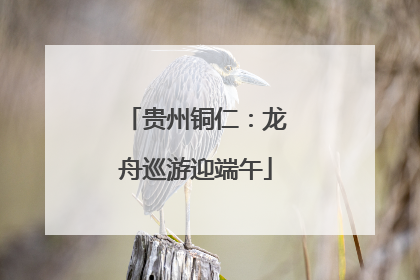 贵州铜仁：龙舟巡游迎端午