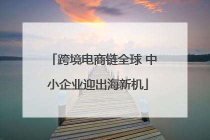 跨境电商链全球 中小企业迎出海新机