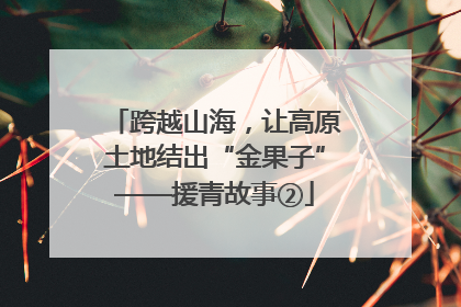 跨越山海，让高原土地结出“金果子”——援青故事②