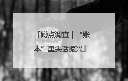 蹲点调查｜“账本”里头话振兴
