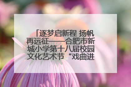 逐梦启新程 扬帆再远征——合肥市新城小学第十八届校园文化艺术节“戏曲进校园专场演出”