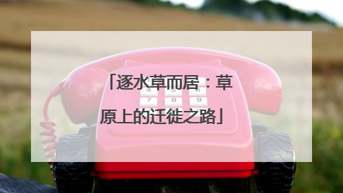 逐水草而居：草原上的迁徙之路