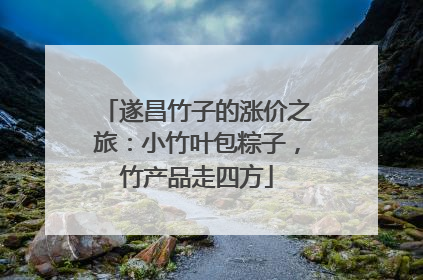遂昌竹子的涨价之旅：小竹叶包粽子，竹产品走四方