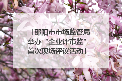 邵阳市市场监管局举办“企业评市监”首次现场评议活动