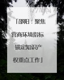 邵阳：聚焦营商环境指标 锚定知识产权重点工作