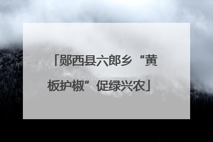 郧西县六郎乡“黄板护椒”促绿兴农