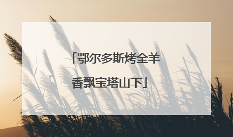 鄂尔多斯烤全羊香飘宝塔山下