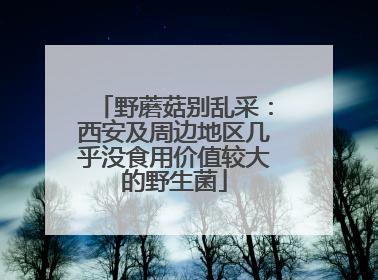 野蘑菇别乱采：西安及周边地区几乎没食用价值较大的野生菌