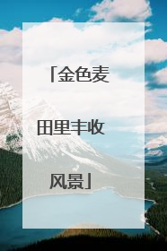 金色麦田里丰收风景