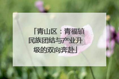 青山区：青福镇民族团结与产业升级的双向奔赴