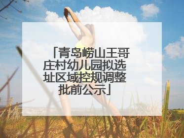 青岛崂山王哥庄村幼儿园拟选址区域控规调整批前公示