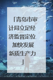青岛市审计局立足经济监督定位 加快发展新质生产力