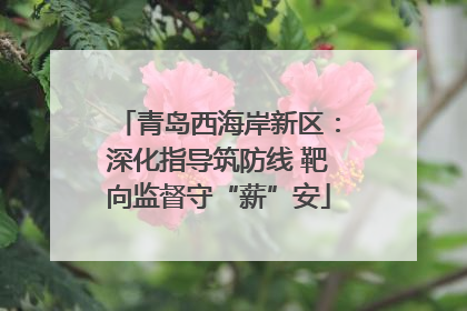 青岛西海岸新区：深化指导筑防线 靶向监督守“薪”安