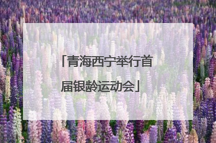 青海西宁举行首届银龄运动会