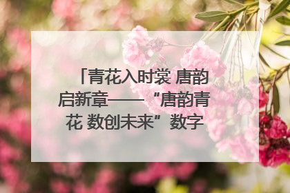 青花入时裳 唐韵启新章——“唐韵青花 数创未来”数字文创设计大赛启幕