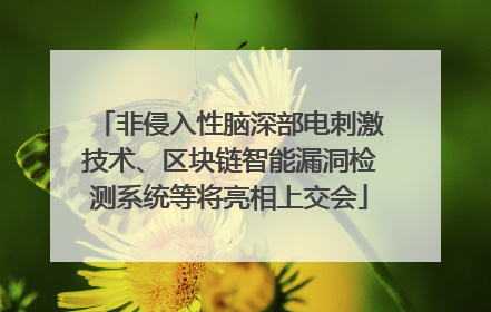 非侵入性脑深部电刺激技术、区块链智能漏洞检测系统等将亮相上交会