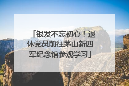 银发不忘初心！退休党员前往茅山新四军纪念馆参观学习