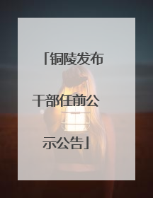 铜陵发布干部任前公示公告