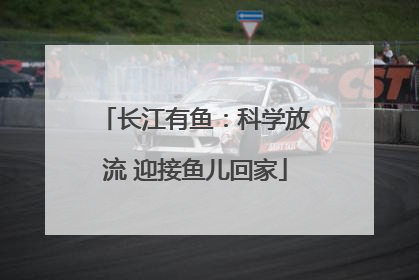 长江有鱼：科学放流 迎接鱼儿回家