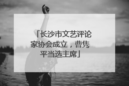 长沙市文艺评论家协会成立，曹隽平当选主席