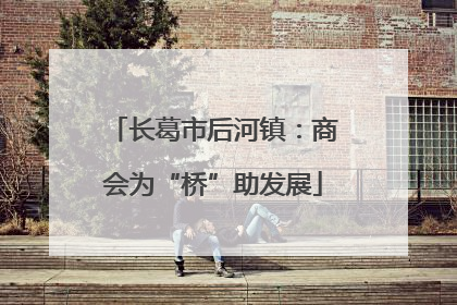 长葛市后河镇：商会为“桥”助发展