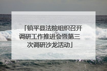 镇平县法院组织召开调研工作推进会暨第三次调研沙龙活动