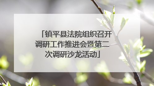 镇平县法院组织召开调研工作推进会暨第二次调研沙龙活动