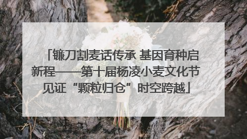 镰刀割麦话传承 基因育种启新程——第十届杨凌小麦文化节见证“颗粒归仓”时空跨越
