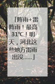 阵雨+雷阵雨！最高31℃！明天，河北这些地方雷雨出没……