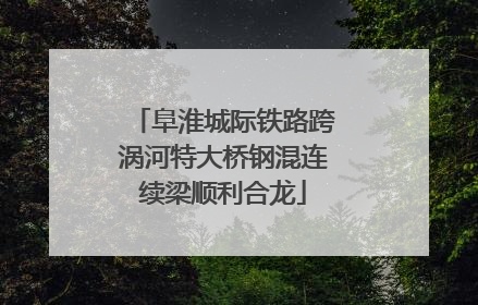 阜淮城际铁路跨涡河特大桥钢混连续梁顺利合龙