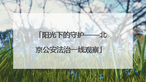 阳光下的守护——北京公安法治一线观察