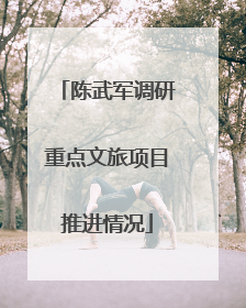 陈武军调研重点文旅项目推进情况