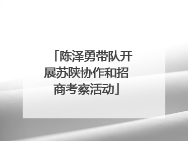 陈泽勇带队开展苏陕协作和招商考察活动
