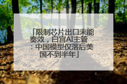 限制芯片出口未能奏效，白宫AI主管：中国模型仅落后美国不到半年
