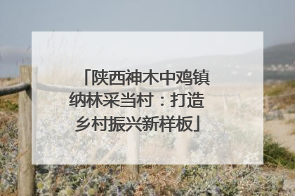 陕西神木中鸡镇纳林采当村：打造乡村振兴新样板