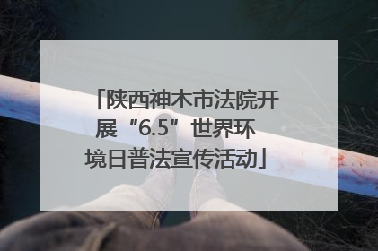 陕西神木市法院开展“6.5”世界环境日普法宣传活动