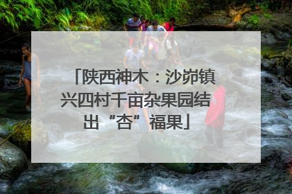 陕西神木：沙峁镇兴四村千亩杂果园结出“杏”福果