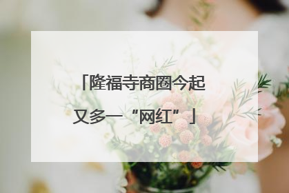 隆福寺商圈今起又多一“网红”