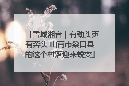 雪域湘音｜有劲头更有奔头 山南市桑日县的这个村落迎来蜕变