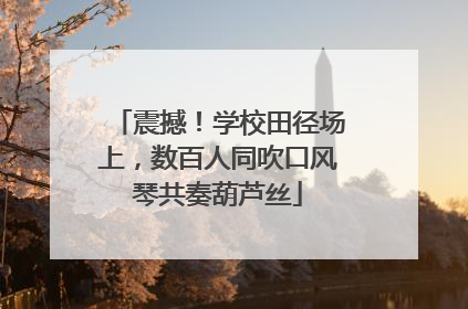 震撼！学校田径场上，数百人同吹口风琴共奏葫芦丝