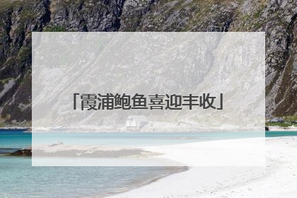 霞浦鲍鱼喜迎丰收