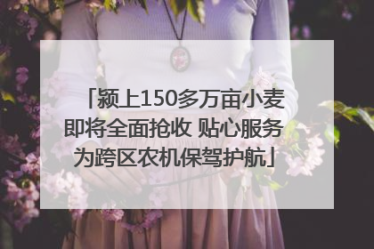 颍上150多万亩小麦即将全面抢收 贴心服务为跨区农机保驾护航