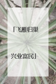 飞雁归巢 兴业富民