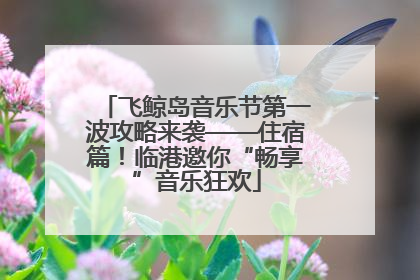 飞鲸岛音乐节第一波攻略来袭——住宿篇！临港邀你“畅享”音乐狂欢