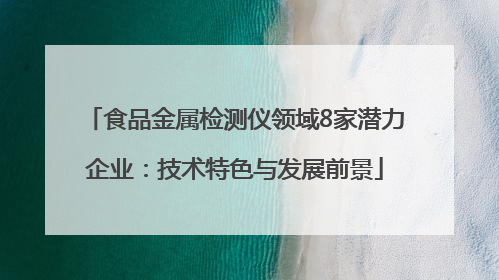 食品金属检测仪领域8家潜力企业：技术特色与发展前景