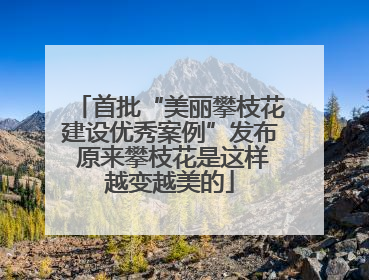 首批“美丽攀枝花建设优秀案例”发布 原来攀枝花是这样越变越美的